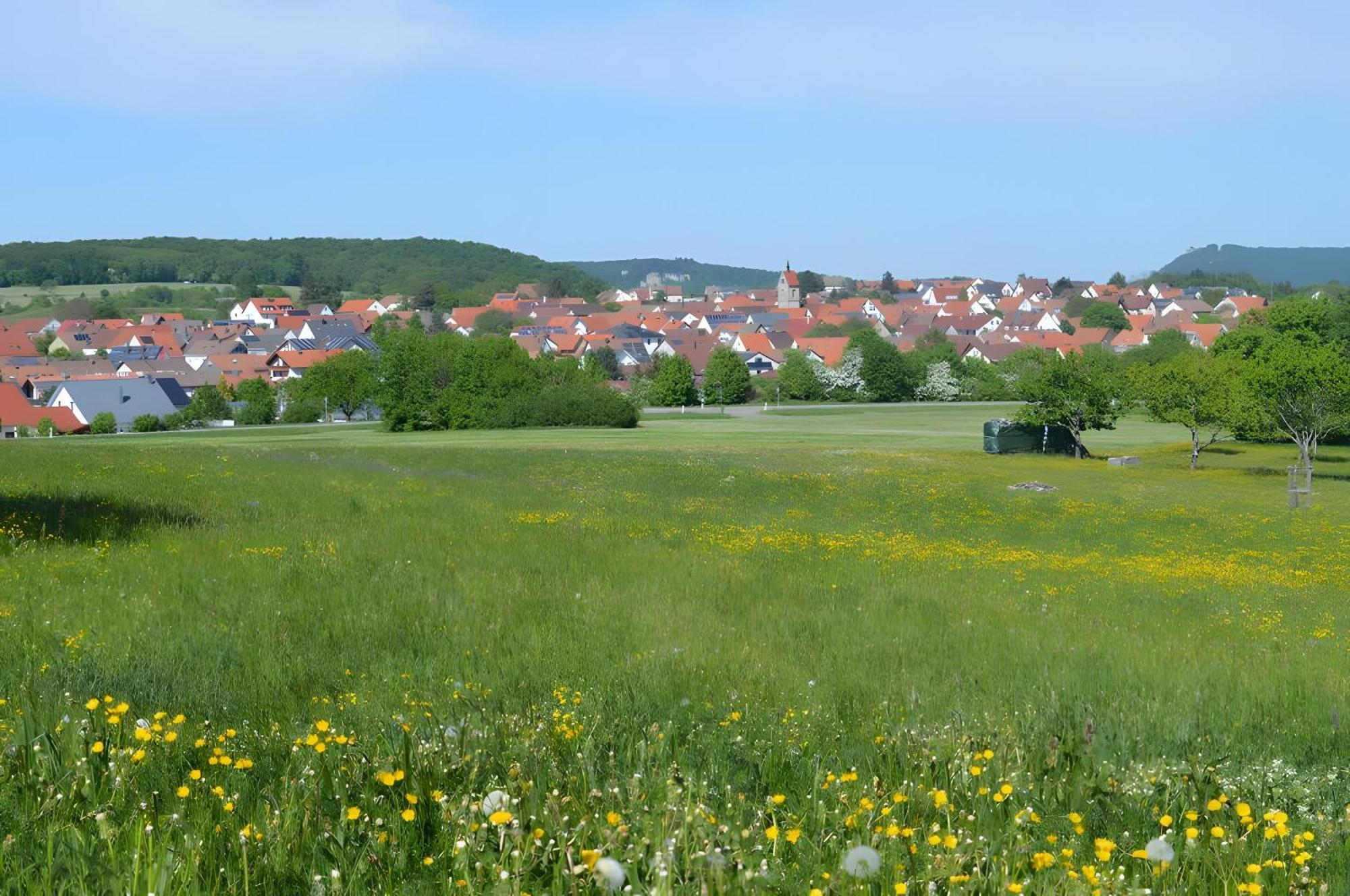 Fewo-Alb-Traum Erkenbrechtsweiler Luaran gambar